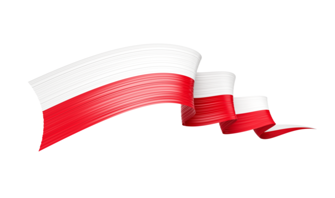 about-polish-language